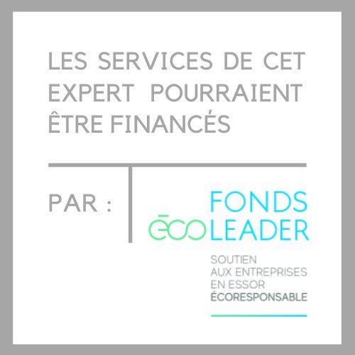 Les services de Marie-Andrée Roy pourraient être financés par le Fonds Éco Leader - Soutien aux entreprises en essor écoresponsable - Blogue - Pourquoi toutes les organisations devraient entreprendre une démarche en développement durable | Marie-Andrée Roy, Services conseil et Design Thinking