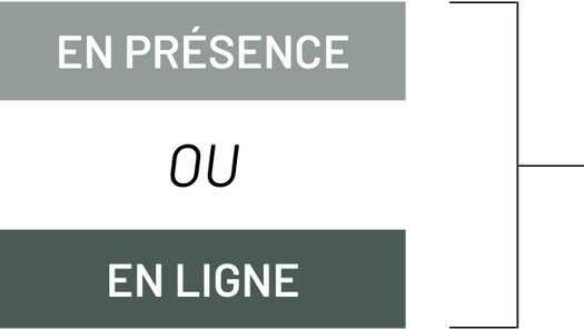 Graphique des options de formation en présence ou en ligne - Formation ABC du Design Thinking | Marie-Andrée Roy, Services conseil et Design Thinking