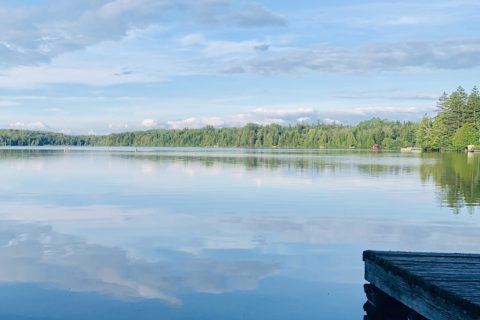 Bord de lac paisible en été - Blogue - De salariée à entrepreneure... 5 leçons apprises dans la dernière année | Marie-Andrée Roy, Services conseil et Design Thinking