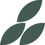 Motif de feuilles vert forêt - Formation Animez des réunions plus efficaces | Marie-Andrée Roy, Services conseil et Design thinking