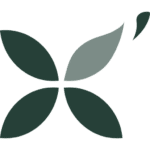 Logo simplifié de Marie-Andrée Roy - Fleur vert foncé | Marie-Andrée Roy, Services conseil et Design Thinking